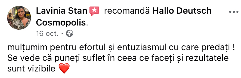 Recenzie Lavinia Stan